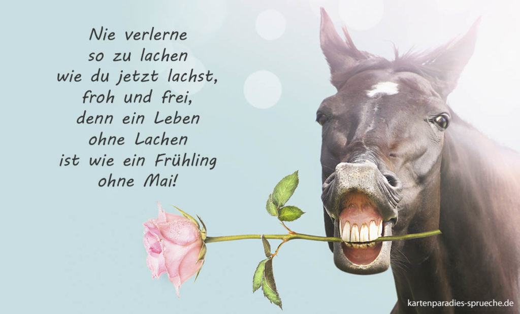Besondere Geburtstagssprüche kartenparadiessprueche.de